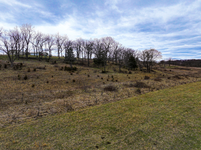 Land For Sale Dallas County, Mo - image 17