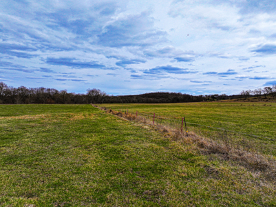 Land For Sale Dallas County, Mo - image 28