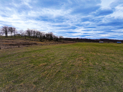 Land For Sale Dallas County, Mo - image 13