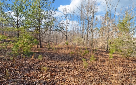 A Slice Of Beautiful North Georgia Countryside Paradise - image 26