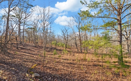 A Slice Of Beautiful North Georgia Countryside Paradise - image 27