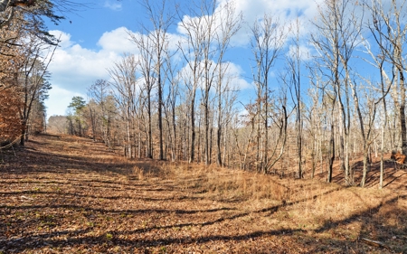 A Slice Of Beautiful North Georgia Countryside Paradise - image 21