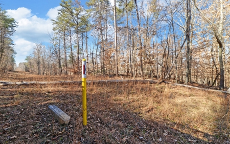 A Slice Of Beautiful North Georgia Countryside Paradise - image 22