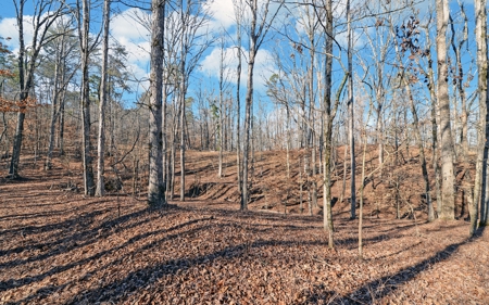 A Slice Of Beautiful North Georgia Countryside Paradise - image 31