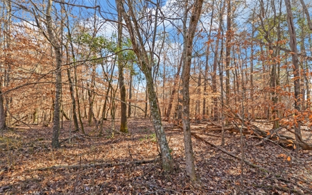 A Slice Of Beautiful North Georgia Countryside Paradise - image 16