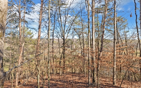 A Slice Of Beautiful North Georgia Countryside Paradise - image 23