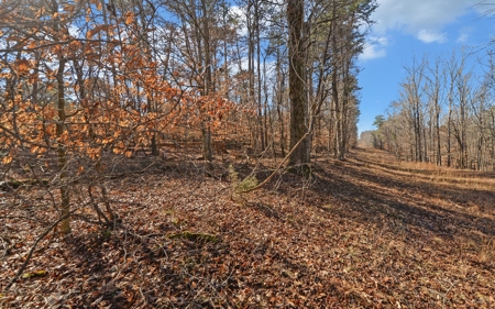 A Slice Of Beautiful North Georgia Countryside Paradise - image 18