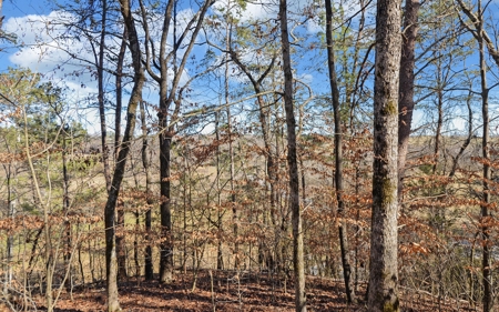 A Slice Of Beautiful North Georgia Countryside Paradise - image 25