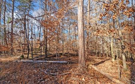 A Slice Of Beautiful North Georgia Countryside Paradise - image 17
