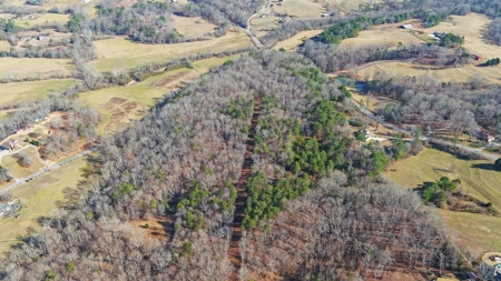 A Slice Of Beautiful North Georgia Countryside Paradise - image 7