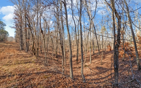 A Slice Of Beautiful North Georgia Countryside Paradise - image 20