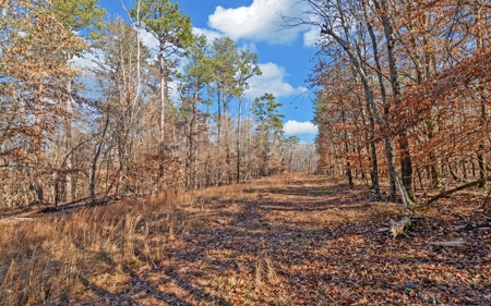 A Slice Of Beautiful North Georgia Countryside Paradise - image 14