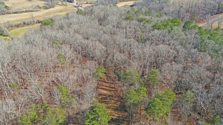 A Slice Of Beautiful North Georgia Countryside Paradise - image 13
