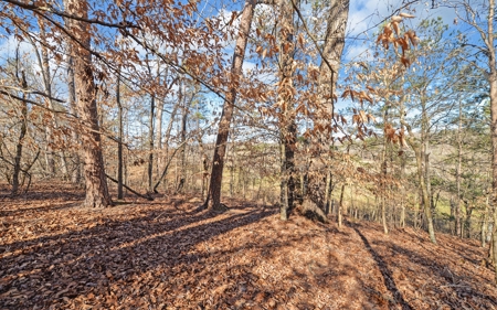 A Slice Of Beautiful North Georgia Countryside Paradise - image 24