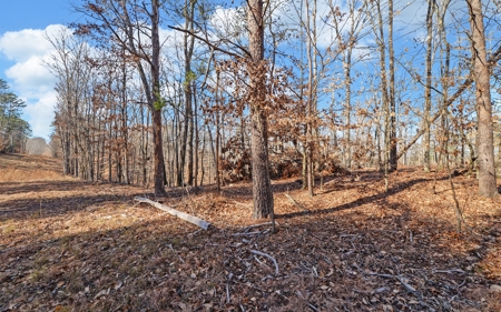 A Slice Of Beautiful North Georgia Countryside Paradise - image 19