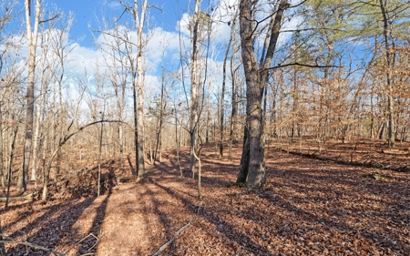 A Slice Of Beautiful North Georgia Countryside Paradise - image 30
