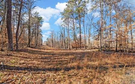 A Slice Of Beautiful North Georgia Countryside Paradise - image 15