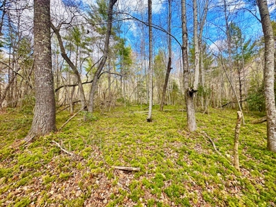 Great Hunting & Recreational Land - image 1