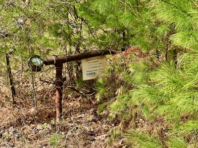 Great Hunting & Recreational Land - image 3