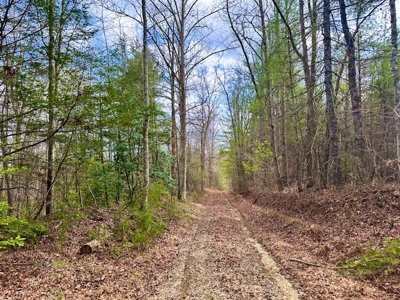 Great Hunting & Recreational Land - image 4