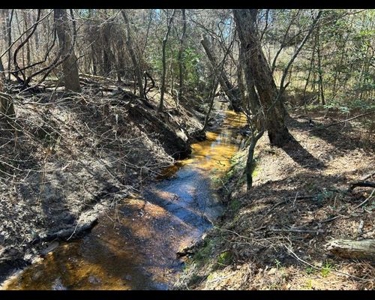 East Texas Timberland and Recreational Tract - image 2