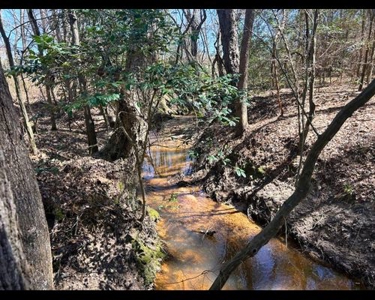 East Texas Timberland and Recreational Tract - image 4