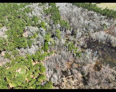 East Texas Timberland and Recreational Tract - image 5
