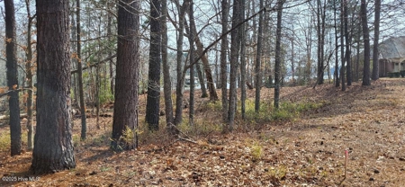 Land For Sale In Hertford, North Carolina - image 11