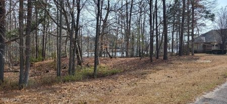 Land For Sale In Hertford, North Carolina - image 10