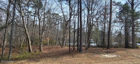 Land For Sale In Hertford, North Carolina - image 12