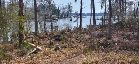 Land For Sale In Hertford, North Carolina - image 13