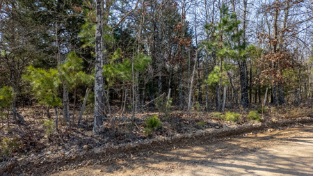 Acreage for Sale in the Howell County Ozarks - image 20