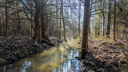 Acreage for Sale in the Howell County Ozarks - image 9