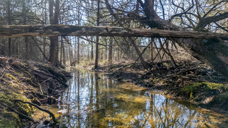 Acreage for Sale in the Howell County Ozarks - image 11