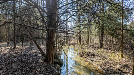 Acreage for Sale in the Howell County Ozarks - image 14