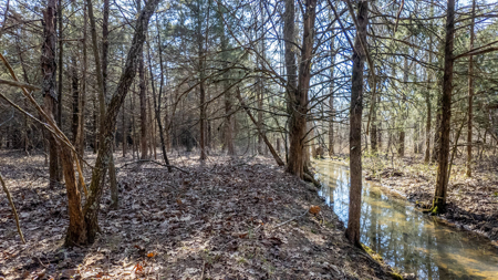 Acreage for Sale in the Howell County Ozarks - image 13