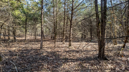 Acreage for Sale in the Howell County Ozarks - image 12