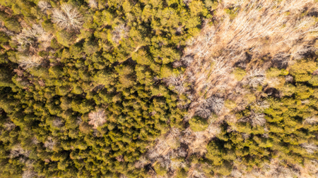 Acreage for Sale in the Howell County Ozarks - image 6