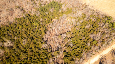 Acreage for Sale in the Howell County Ozarks - image 7