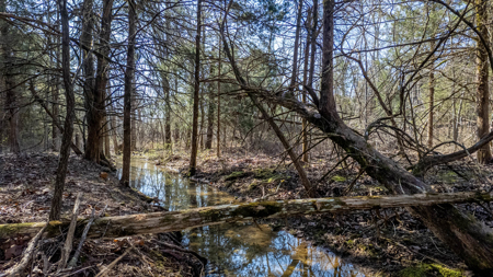 Acreage for Sale in the Howell County Ozarks - image 10