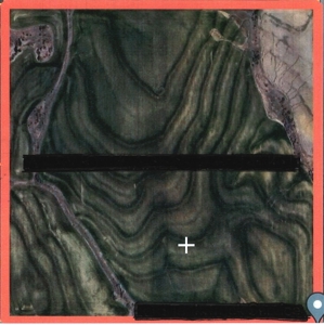 160 Acre Farm with Mineral rights - image 2