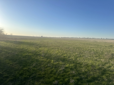 160 Acre Farm with Mineral rights - image 4