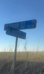 160 Acre Farm with Mineral rights - image 7