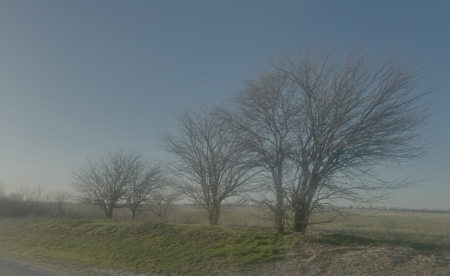 160 Acre Farm with Mineral rights - image 5