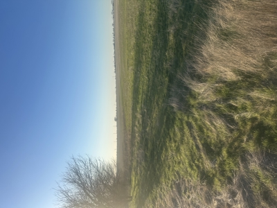 160 Acre Farm with Mineral rights - image 1