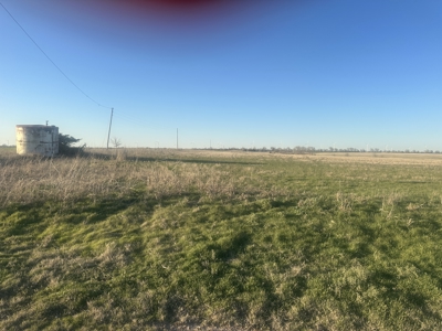 160 Acre Farm with Mineral rights - image 6