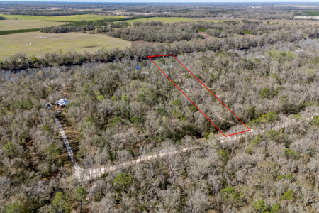 Suwannee Riverfront Stilt Home – 2BR/1BA on 2.18 Acres in O’Brien, FL - image 6