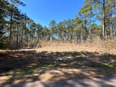 East Texas Land For Sale -  Timber Investment & Hunting Property - image 1