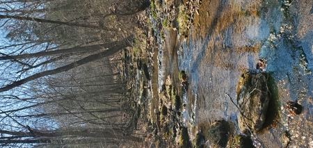 Timberland Near Tecumseh, Ozark County Missouri - image 6