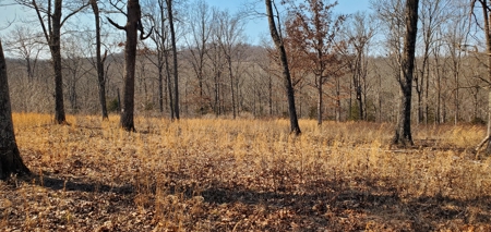 Timberland Near Tecumseh, Ozark County Missouri - image 11